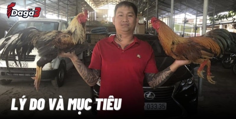 Mít Trà Cú sáng lập trang đá gà trực tiếp Daga3.tv